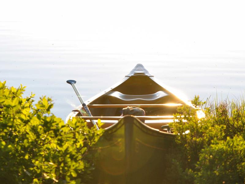 sudoku number placement screenshot 4