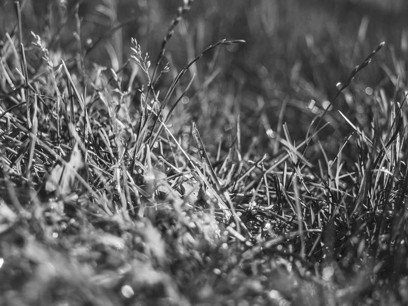 sudoku number placement screenshot 3